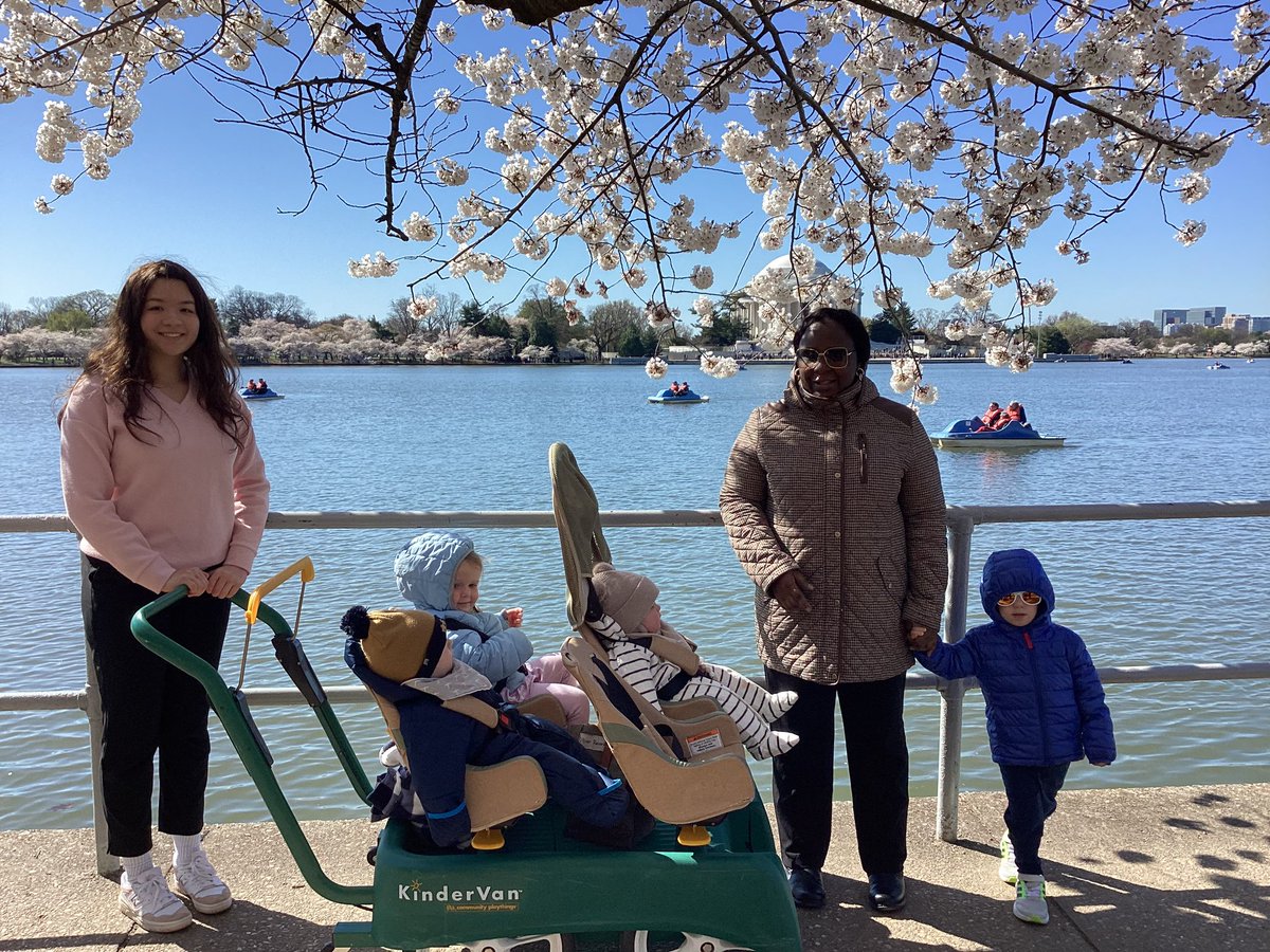 Cherry Blossoms have arrived in Washington, DC!

#montessoritoddler