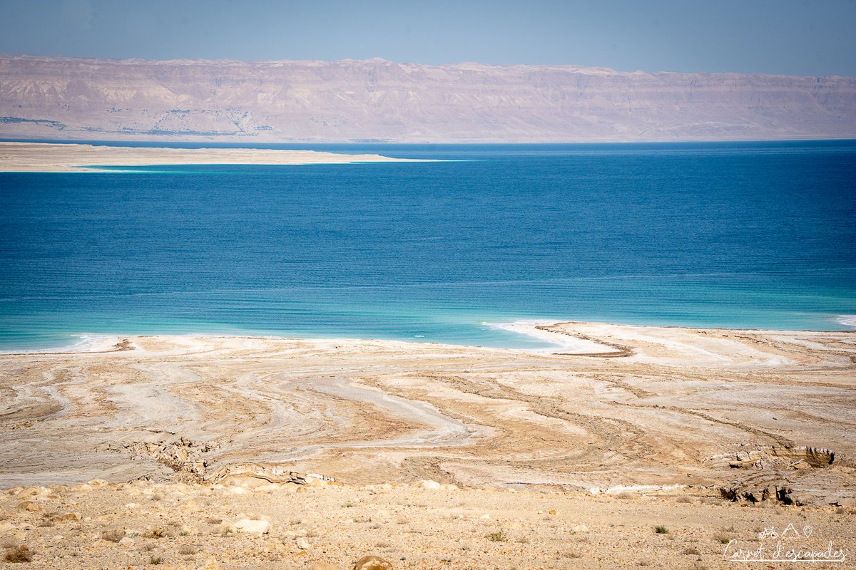 Que faire à la Mer Morte en #Jordanie? 🇯🇴 carnetdescapades.com/asie/jordanie/…