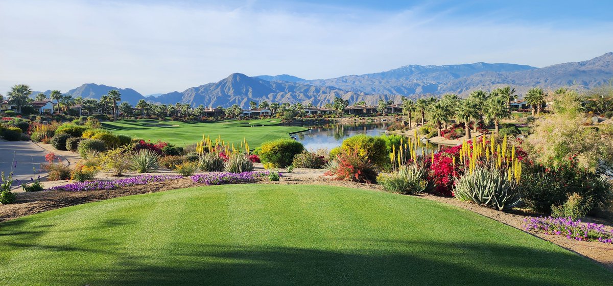 Great day to have a great day! Happy Friday to all. ⛳️🤠