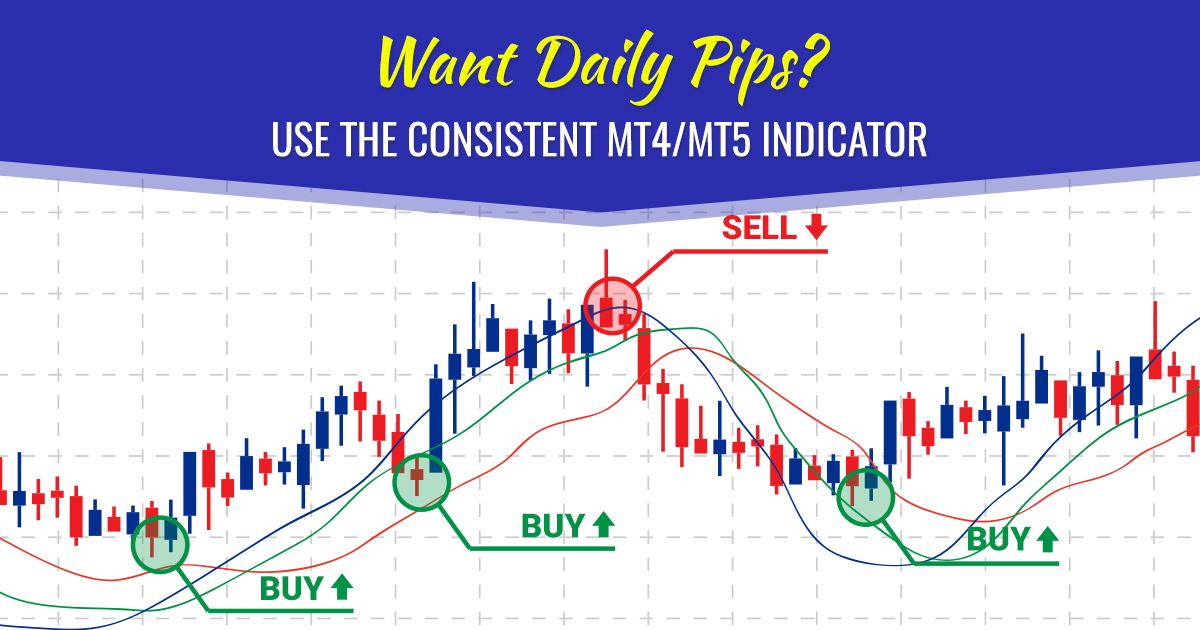 wetalktrade's tweet image. 20 pips a day, keep your cash crunch problems away. And Pipbreaker delivers it to you on a plate with its unique strategies. 

So get Pipbreaker and make profits in the forex market daily. Start now
wetalktrade.com/best-indicator…

#pipbreaker #buy #sell #forex #mt4 #mt5 #wetalktrade