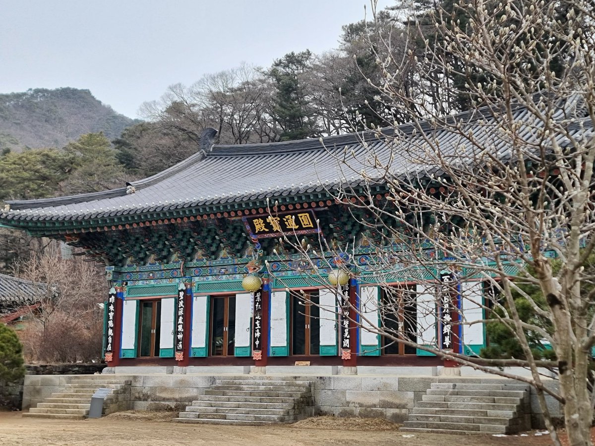 mjhosd's tweet photo. 홍천 수타사데이트에요
처음왔다나는 아들에게 아는만큼 보인다고
홍회루 대적광전 원통보전을 설명하고 
공작산 생태공원 한바퀴 돌았네요
아직은 겨울의 모습이지만 금방 봄이 올거 같아요 봄이 살짝 보이네요

#홍천수타사 #공작산수타사  #홍천여행
#수타사 #홍천여행코스 #공작산생태공원 https://t.co/mPbxs0QbHp