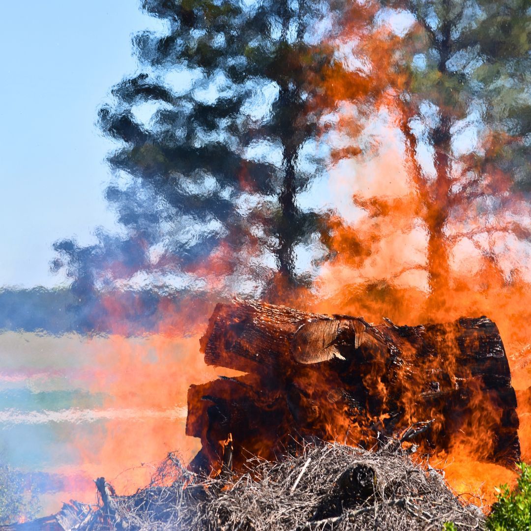 Golden Triangle RC&D tweet media