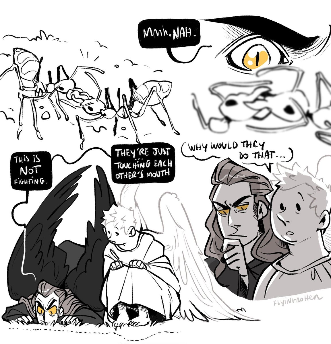 ☁️FlyingRotten☁️ tweet media