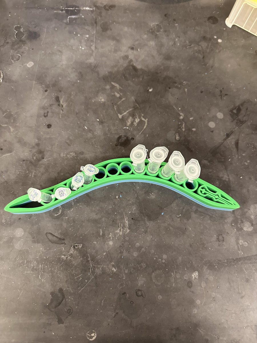 When nematodes become nemaTUBE holders 🪱🧪 (thanks for the nematode <a href="/korethegenius/">Kore Chan</a> and the pun <a href="/jacqueline_ehr/">Jacqueline Ehrlich</a> !)