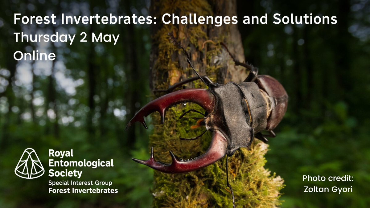 One week left for abstract submissions to the @RoyEntSoc Forest Invertebrates SIG online meeting, coming up on 2 May! Working on #ForestInvertebrates? Why not consider participating? Abstract deadline: 17:00 (BST), Friday 5 April More details at royensoc.co.uk/event/forest-i…