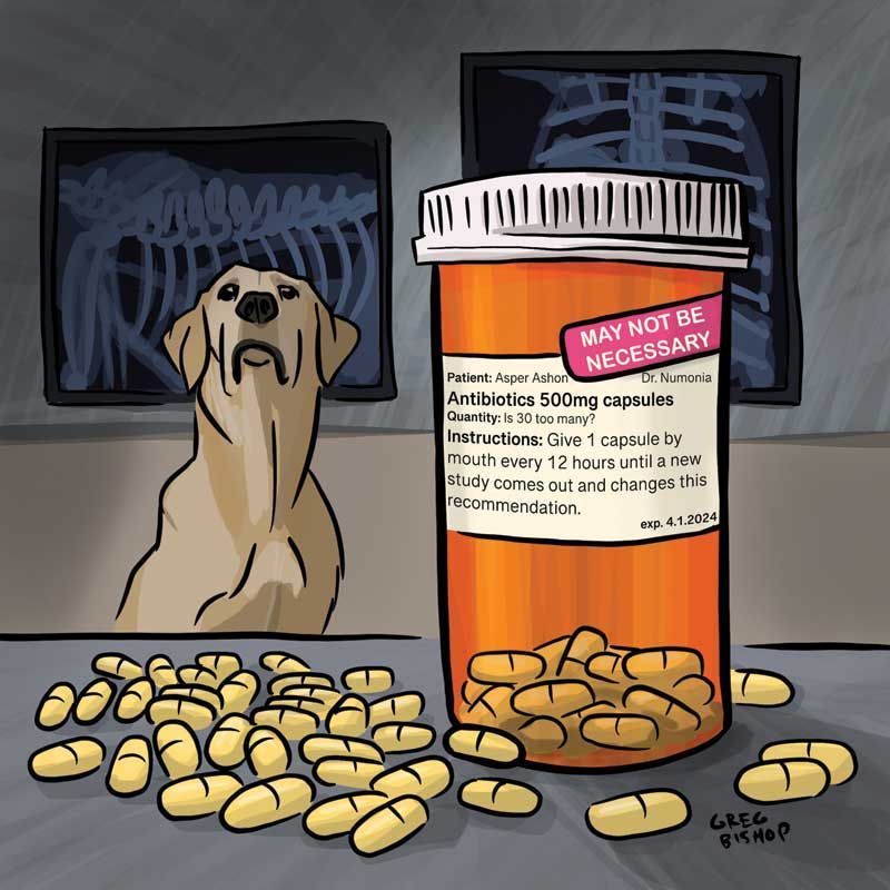 Reconsidering antibiotic duration for canine aspiration pneumonia buff.ly/3TwR6uG