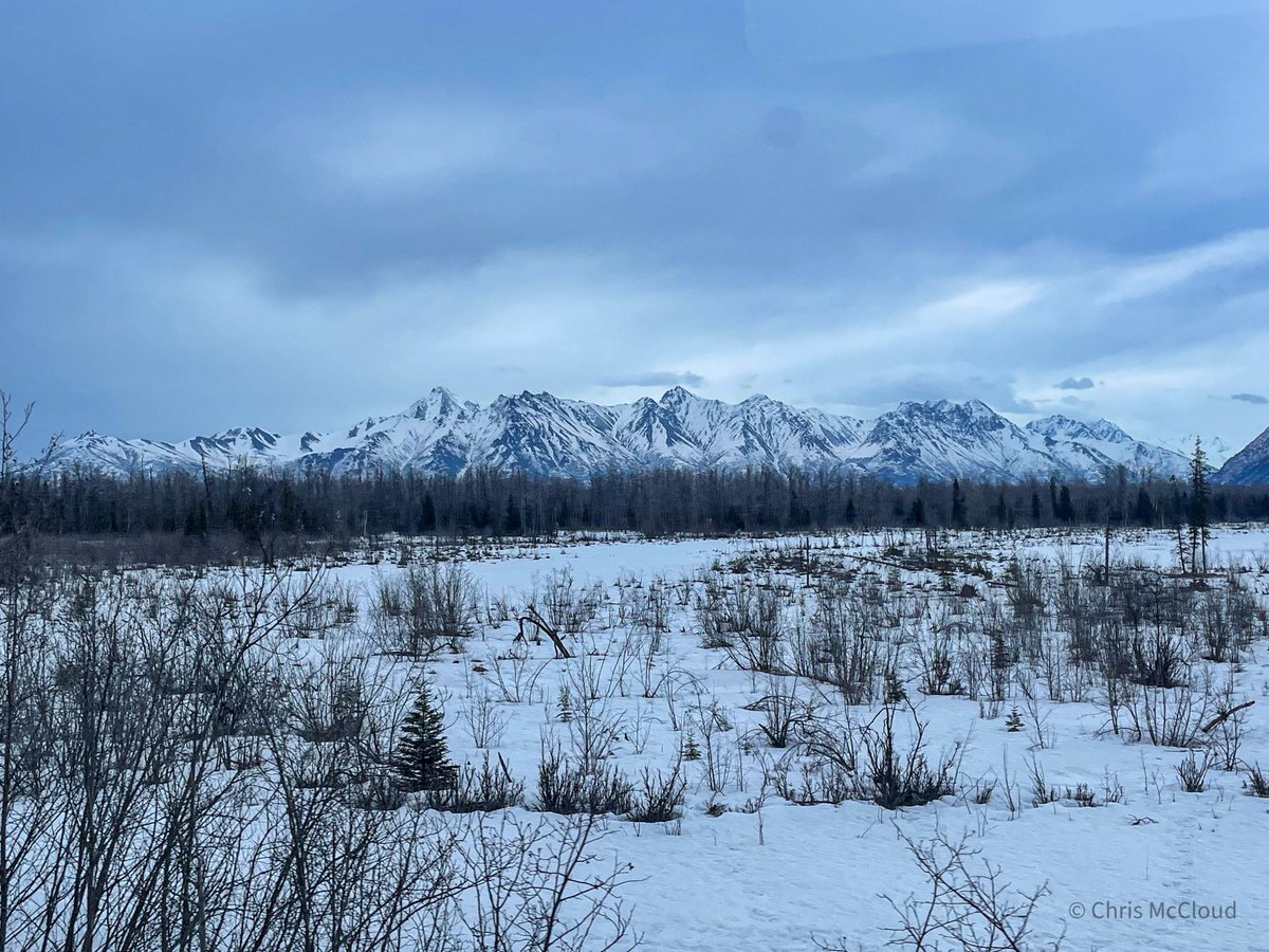 Matanuska Peak on the north side of the May-Su Valley in southern Alaska, seen from the @AKRR #AdventureAwaits #adventuretime #alaska #SpringBreak #traintravel #train #travel #FridayMotivation #ParkChat #choosemountains