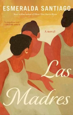 Follow a close-knit group of women over decades from Puerto Rico to the Bronx for a remarkable look at living with a traumatic brain injury. #365DaysOfBooks buff.ly/3TCWi1s