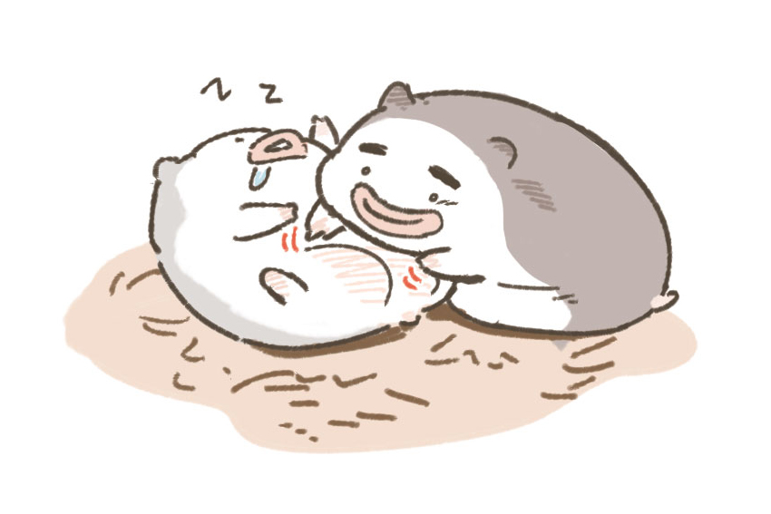 밍스터가 그렇다구 합니다