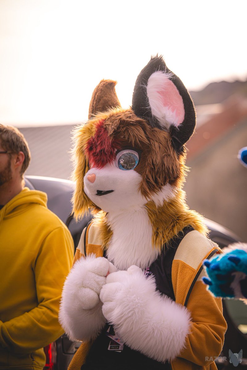 Happy #FursuitFriday ! For today, look at these beautiful pictures @Razor_Damiano took of me at the @SloFurs Spring meet! My suit 🧵 @SchneeCreations