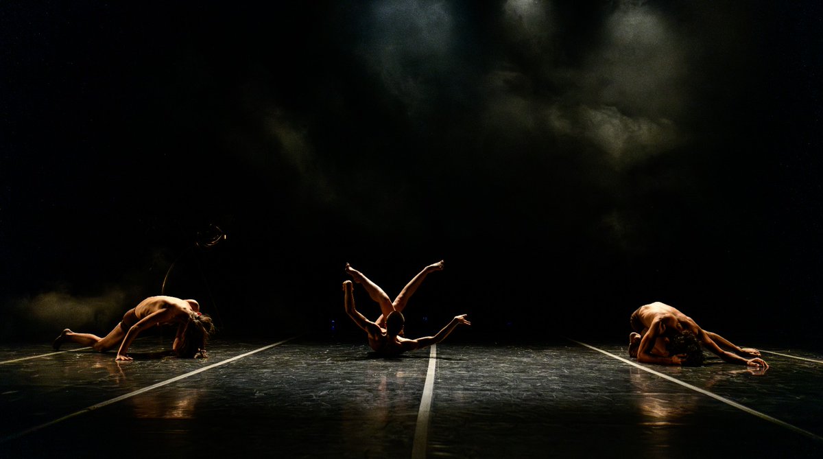 Violeta Borruel tweet media