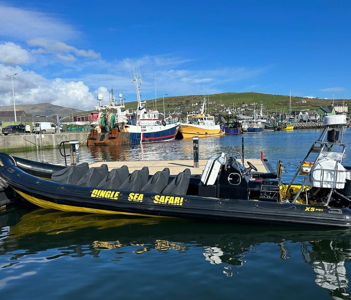 We are delighted to announce the addition of our newest vessel ‘Lochlann’ to our fleet! 🚤 This expansion & growth will add to local employment & is great news for the Dingle Peninsula! A massive thank you to all of our customers who have enjoyed being onboard with us!