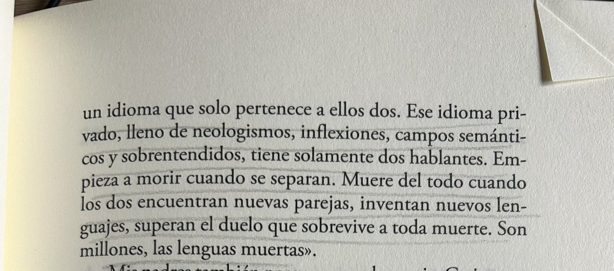 lhermoso_'s tweet image. 