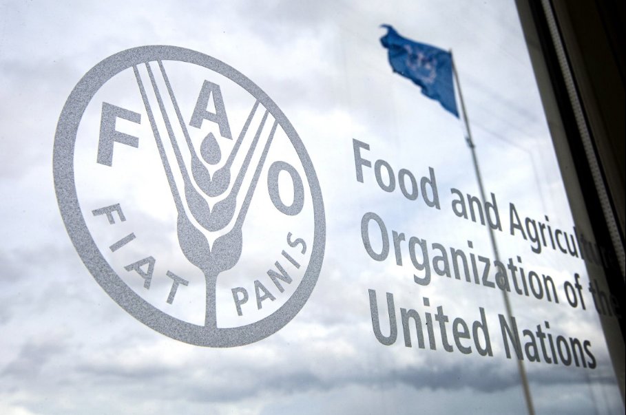 Would you like to join the @FAO Land and Water team? We are looking for a Land and Water Officer with a focus on Sustainable Land Management. Check out the vacancy announcement and apply here! ⬇️ tinyurl.com/ywhe77rv