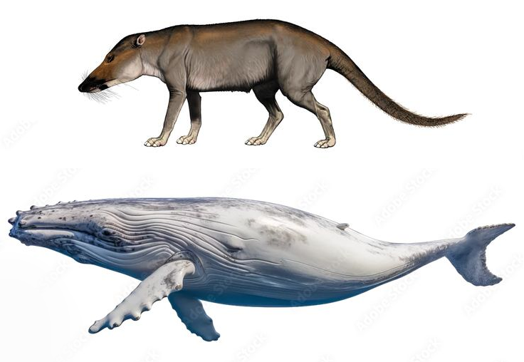 Astropierre tweet media