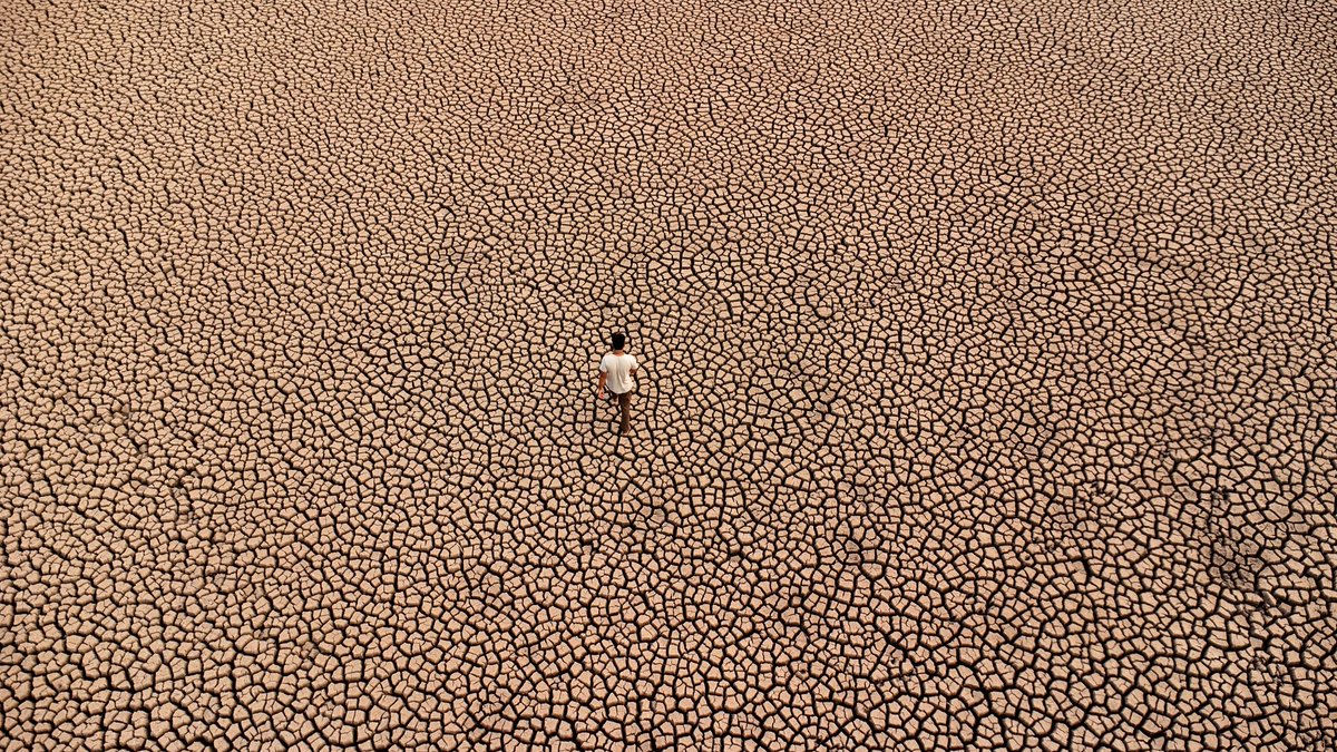 Summer has barely begun, but more than 70% of Maharashtra's talukas are drought struck. Water levels have dipped in Marathwada, with dam water storage down to just 21.3% of capacity, compared to 46% in 2023. Here, a man is seen walking on a dry lake at Chandapur village in Beed.