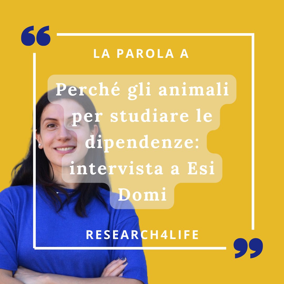 research4life tweet media