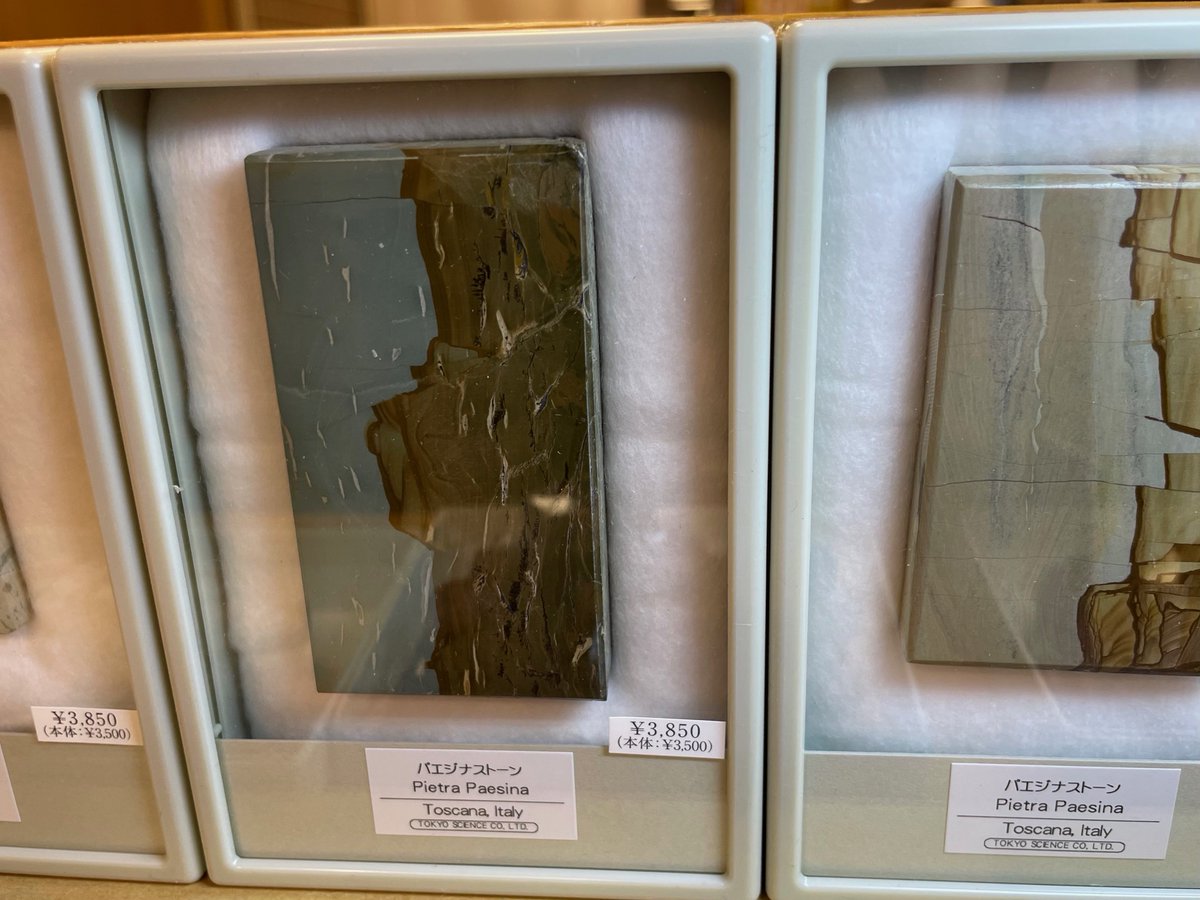 化石鉱物展】パエジナストーン パエジナストーンとは(風景の石)という