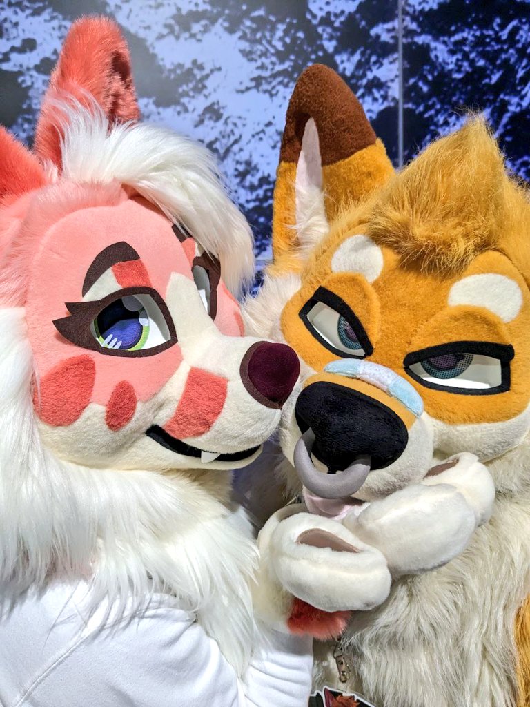 This #FursuitFriday is only Foxes 😘 come join for some kisses 💋 🧵@FurryFursuit_M 🦊@trickytwitch