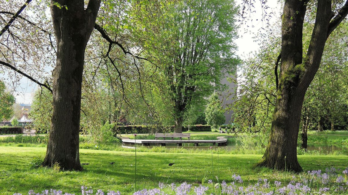 Echt Overvecht tweet media