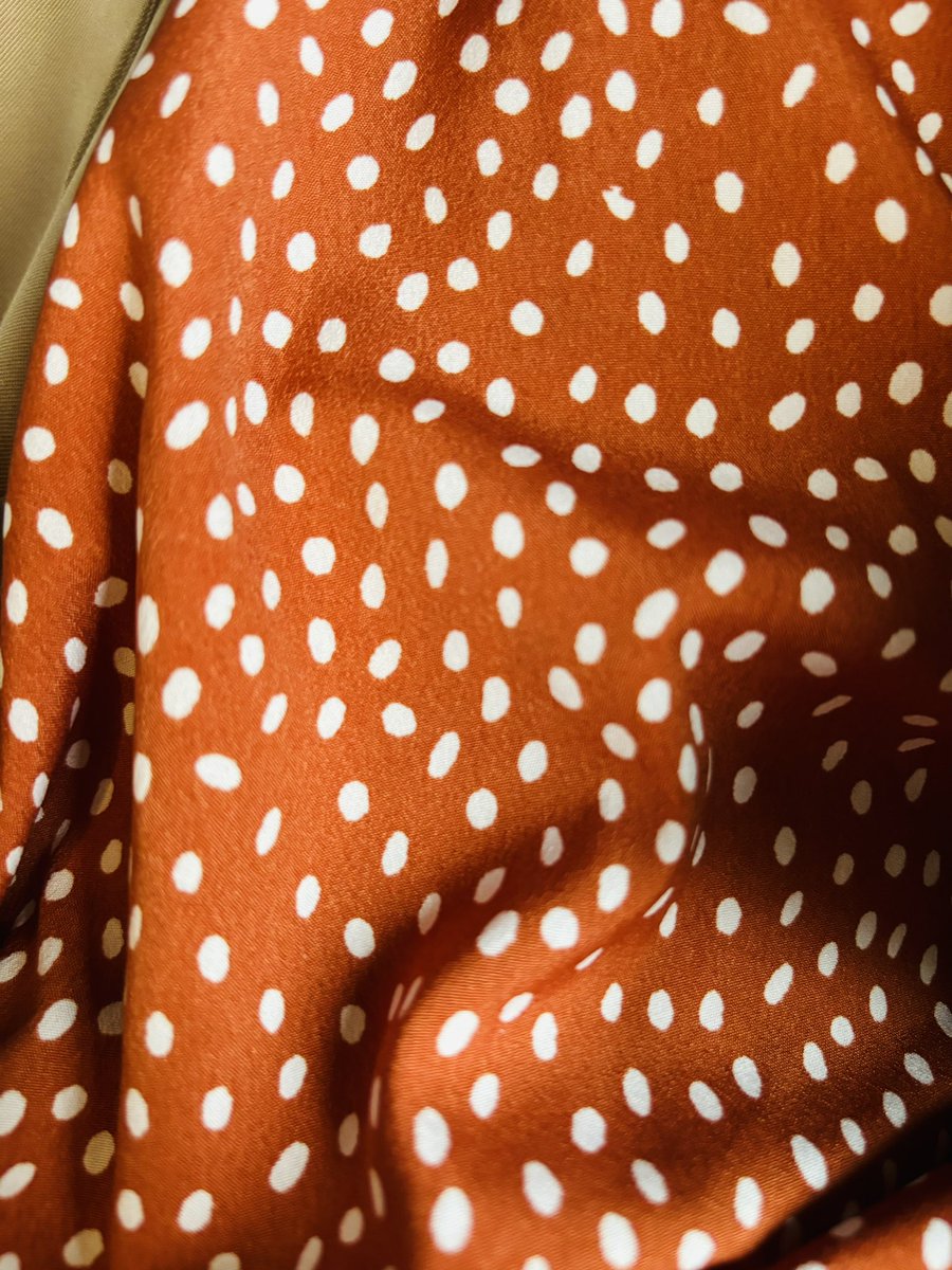 Why’s it always “I’m going to wear my spotty dress” and not “I’m going to wear my segmented nuclei dress”? 👀🔬