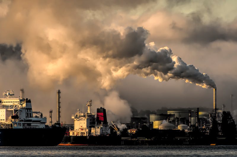 Environment Post tweet media