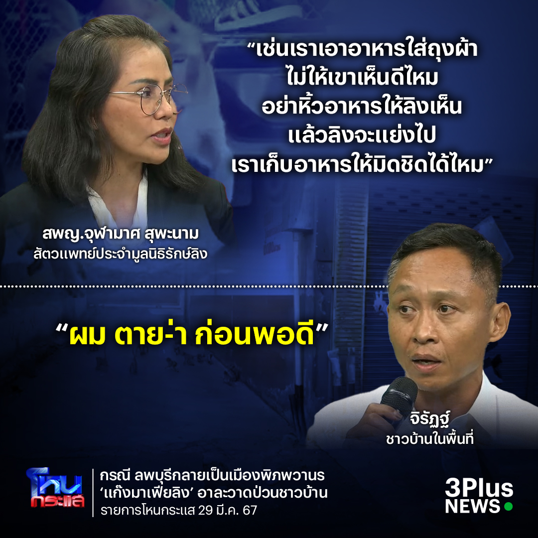 จงวิเคราะห์🤔 

เริ่มต้นที่ตัวเอง! “สัตวแพทย์” แนะ ทางออก “ลิงป่วนลพบุรี” แย่งของกินชาวบ้านเพราะลิงหิวแทบขาดใจ แย่งอาหารเพื่อเอาตัวรอด ปชช.ควรเอาอาหารใส่ถุงผ้าเพื่อไม่ให้ลิงเห็น ชาวบ้าน ลั่นสั้นๆ “ผมตาย-่าก่อนพอดี”

#โหนกระแส #ลิงลพบุรี