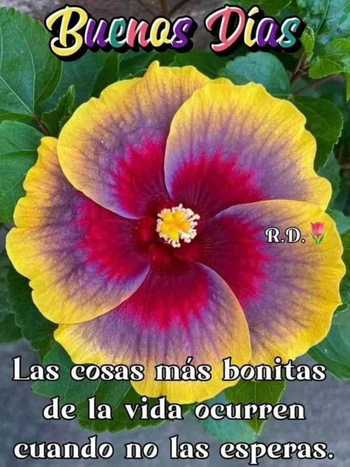 <a href="/PalomaGaelbah/">🪬Paloma♡Gaelbah🪬#DeGuardia016</a>  @magdamasha72  <a href="/LeireLamariano/">🐖💨 Leire🍉</a> <a href="/reiremos222/">Feliz Vida me río 💟 💜💜</a> @PerezGil164 <a href="/utopia36/">Utopia💜</a> <a href="/laudani0728/">💊Lau dani 💕</a> <a href="/Rosamar71517490/">Rosa maria</a> <a href="/AmaiaPe45688866/">Amaia Perez</a> <a href="/loli571/">Lolita✈️💜</a> <a href="/justa_ochoa/">Justa O.V.</a> <a href="/laloba359268519/">lia. R</a> <a href="/Targaryen88888/">Rous</a> @Capri39329320 <a href="/burg444/">Seed_444 :3</a> <a href="/Maricar19738249/">Mami😇☀️🍀🌺 Maricarmen N</a> <a href="/supermari_64/">Maricarmen 🫶💜🫶</a> <a href="/GarcisPolonio/">Carmen Polonio Garcia</a>