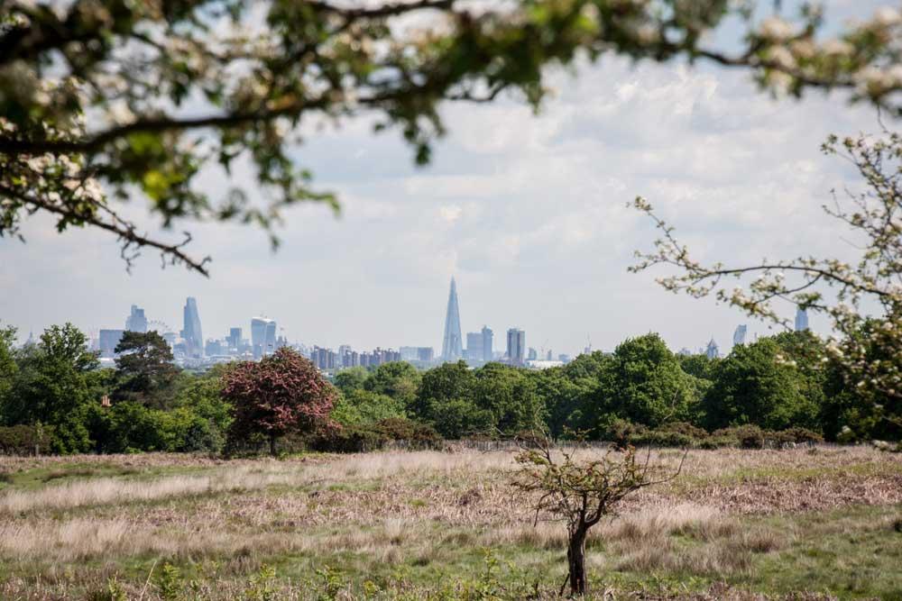 Earn your London Marathon medal from anywhere with virtual #OSMaps routes for walkers, runners and explorers. 🏅 Sign up, choose your route, and earn the same #LondonMarathon medal: ow.ly/H9Bj50R4iUe