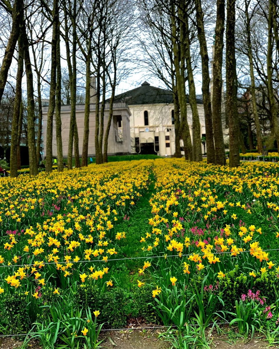 Dear God,

Your unwavering love for me resembles a blooming flower, evident not only to me but to all. Today, I am reminded that I need not bear my burdens alone, for Christ carried them all on the cross. Wishing everyone a blessed Good Friday.

 ❤️ 🙏