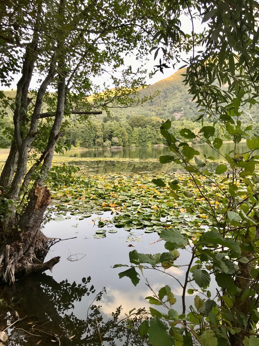 lauparducci's tweet image. 📣JOB ALERT: we are looking for a postdoc to join our group in #Rome @sapienza working with @CristianoVernes @MEG_Verbania on ancient #envDNA #sedDNA to assess #volcanic #lakes #biodiversity - project #PRIN2022 contact me for more info (deadline 13/04) Please RT!!
