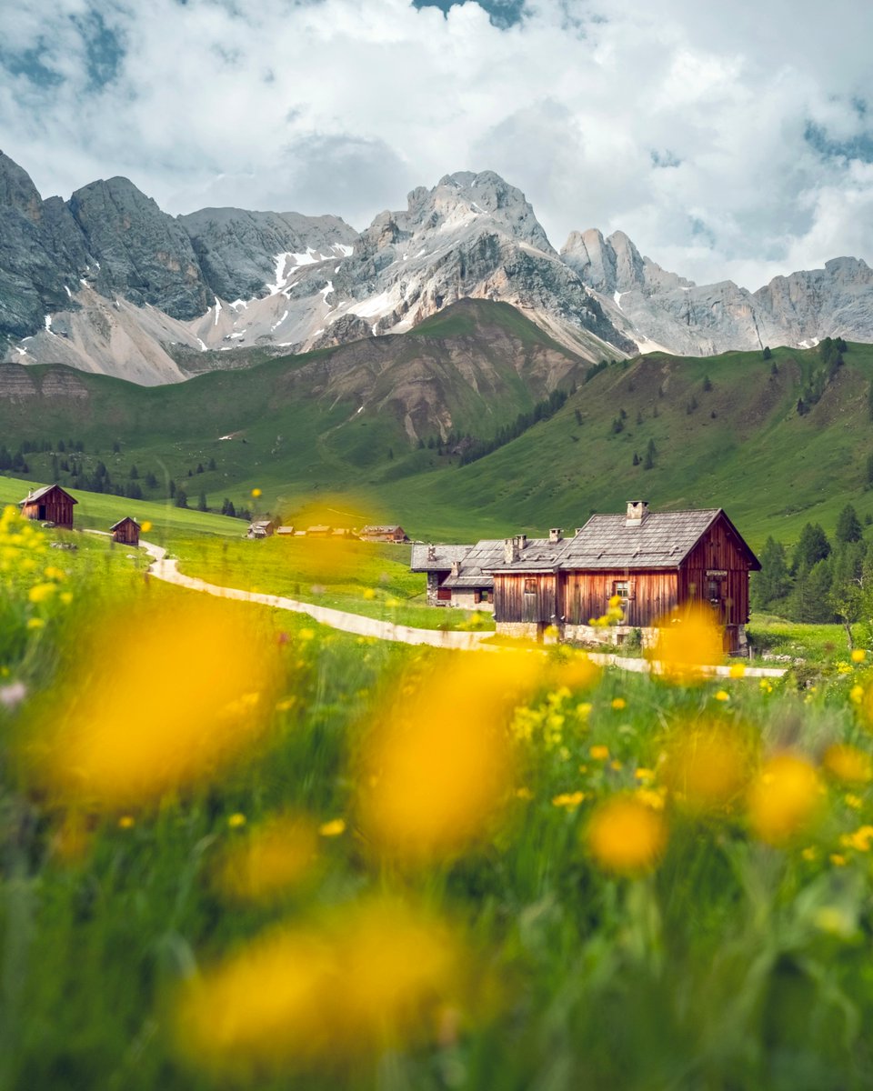 Experience spring's energy in Trentino. 🌸🏔️ From colourful flowers to birdsong, the Dolomites burst with new life. 🌻🦋 Enjoy this glorious season where peaks touch the sky.

📍 @VisitTrentino 

📷 Luciano Gaudenzio

#italiait #travelinitaly #visittrentino #springintrentino