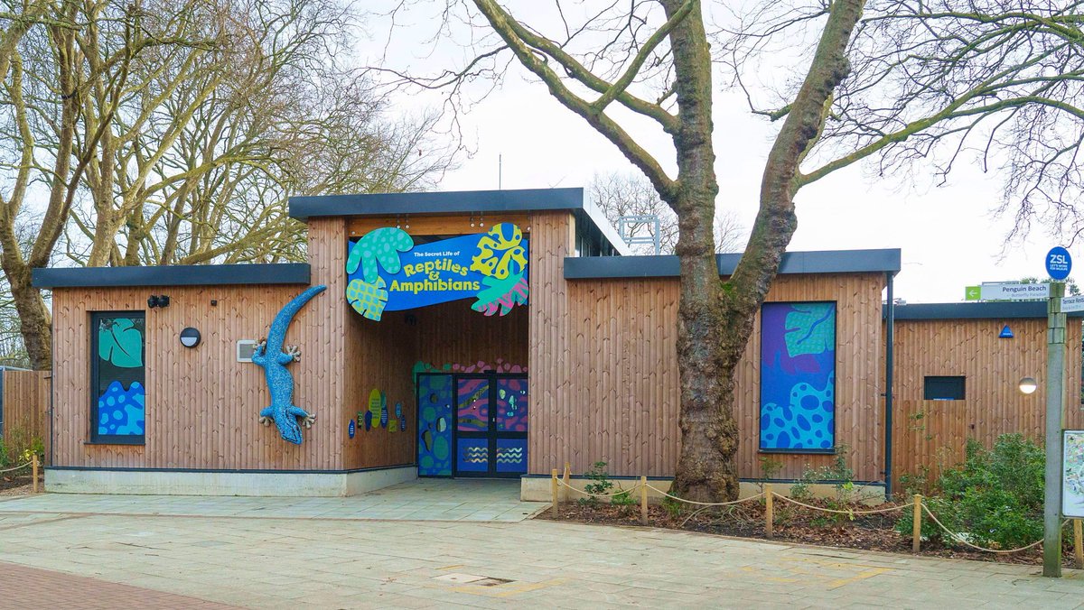 The secret is out! Introducing @zsllondonzoo Secret Life of Reptiles and Amphibians attraction, home to 33 species, including 23 EDGE species! A labour of love for the incredible @OfficialZSL Herpetology team the doors open today. Why not come down experience it for yourself!