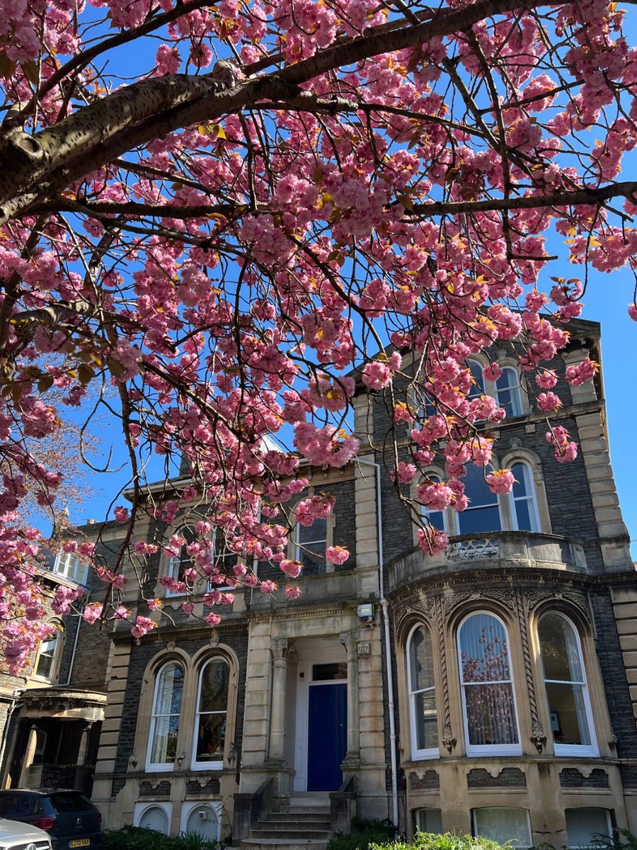 The University is now closed until 3 April 🌷 Wishing everyone a delightful period of rest filled with relaxation, rejuvenation and a little bit of sun! 😊✨ #WeAreBristolUni
