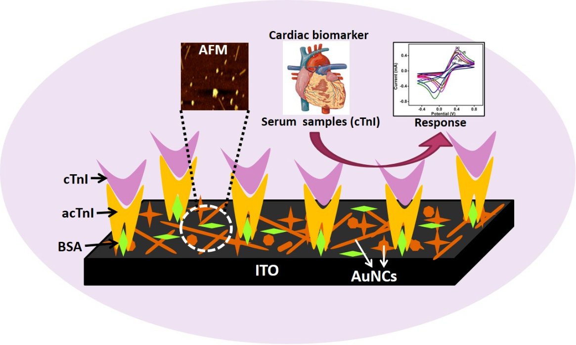 Biosensors_MDPI's tweet image. #Article
Template Free Anisotropically Grown Gold Nanocluster Based Electrochemical Immunosensor for Ultralow Detection of Cardiac Troponin I by Sumaya Nisar, et al.
doi.org/10.3390/bios12…

@MDPIOpenAccess @ChemMatSci_MDPI @iitdelhi @AmityUni @bhupro
#immunosensors #openaccess