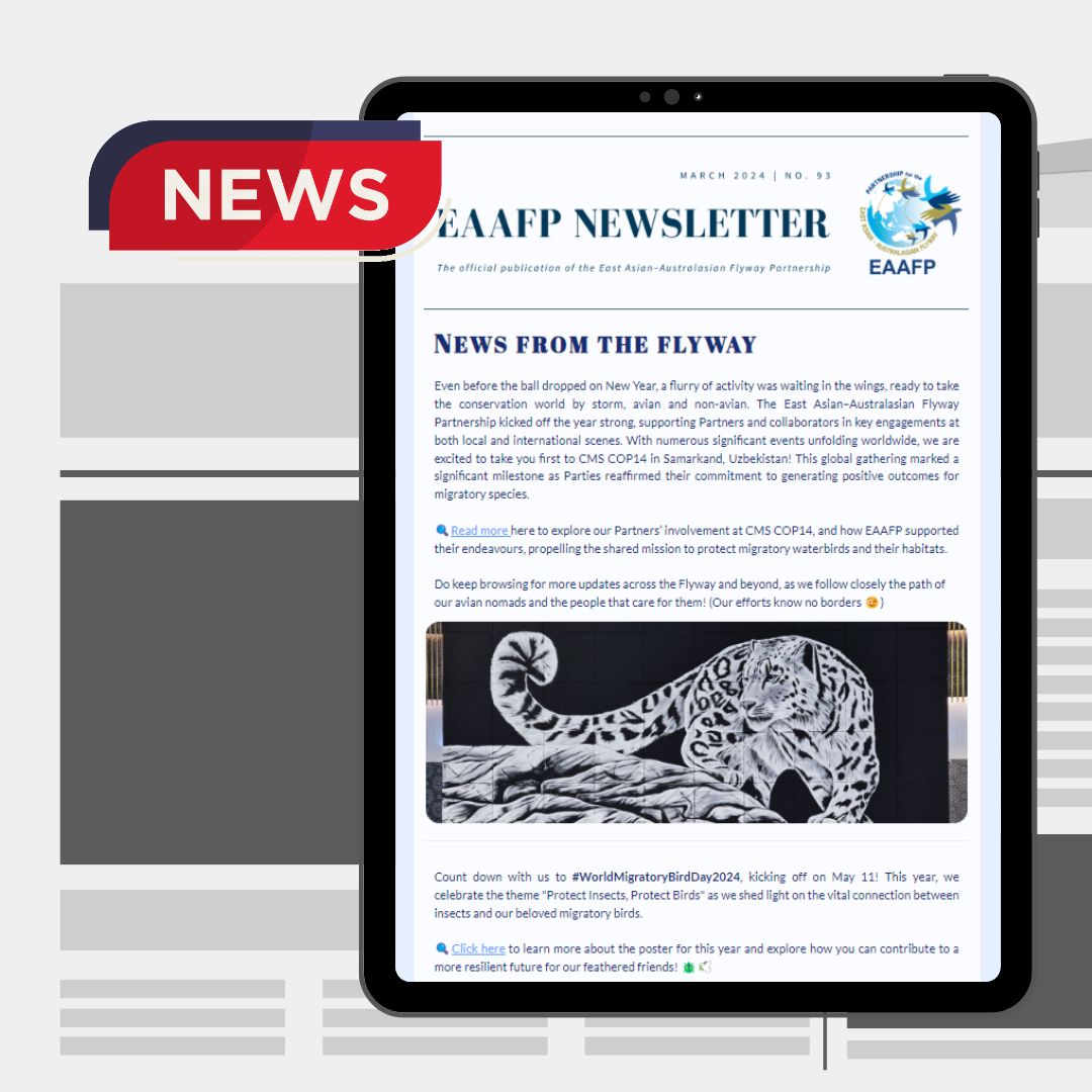Inbox Alert! The #EAAFP March 2024 newsletter is out now with this quarter’s updates on the conservation efforts for our migratory waterbirds. Read now or subscribe for future updates via this link: buff.ly/3vva9O4 #EAAFPNewsletter #Conservation #MigratoryBirds