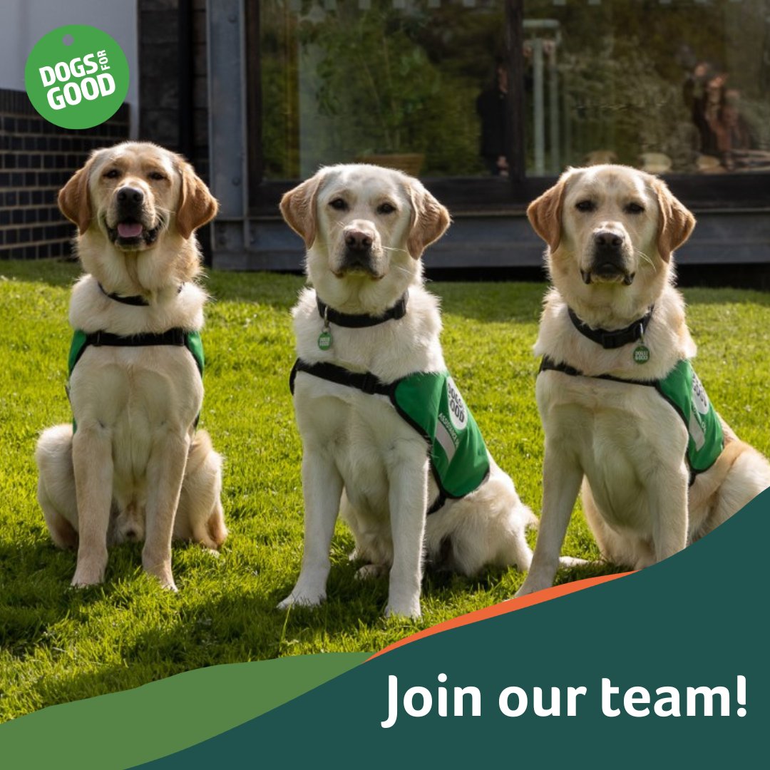 We're hiring! Could you be one of the next members of our communications team? We are currently looking for a 🐕‍🦺Campaigns and Digital Marketing Manager 🐕‍🦺Website and Content Manager Find out more and apply here: loom.ly/-QZsK-Y