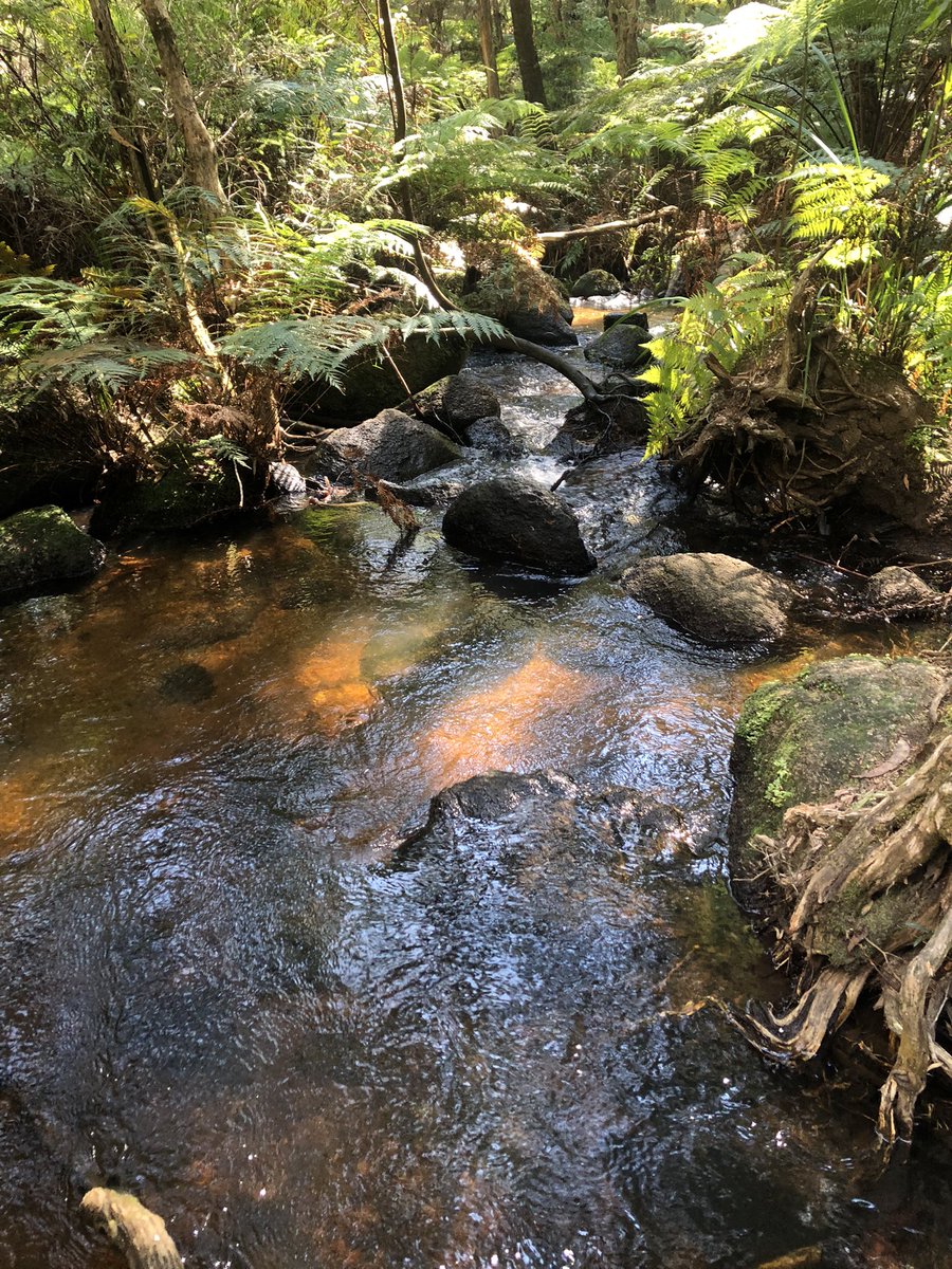 Beautiful day at ship rock falls #gembrook