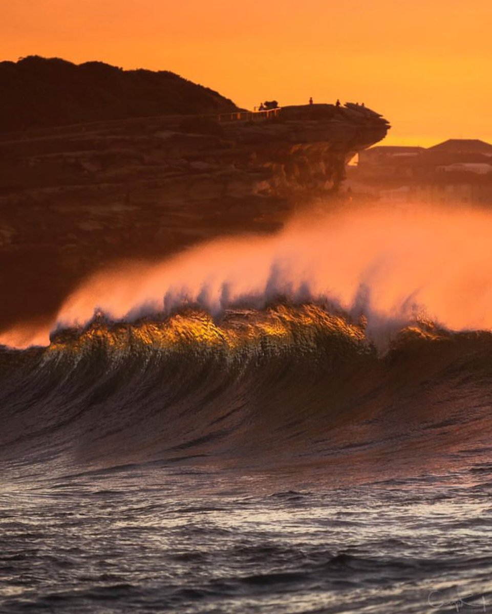 ‘Golden Crest’ .. Bondi Beach, Sydney .. New South Wales, Australia .. #daybreak