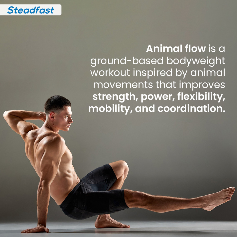 sn_premium's tweet image. Did You Know? 

Unleash Your Inner Beast with Animal Flow Workouts and tap into your body&apos;s natural strength. 

#SteadfastNutrition #AnimalFlow #Exercise #Flexibility #Mobility