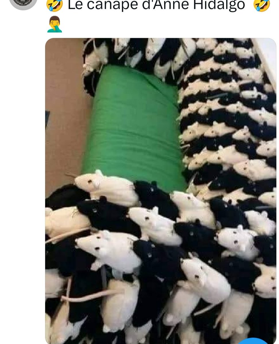 Renebz34350's tweet image. #TMPM