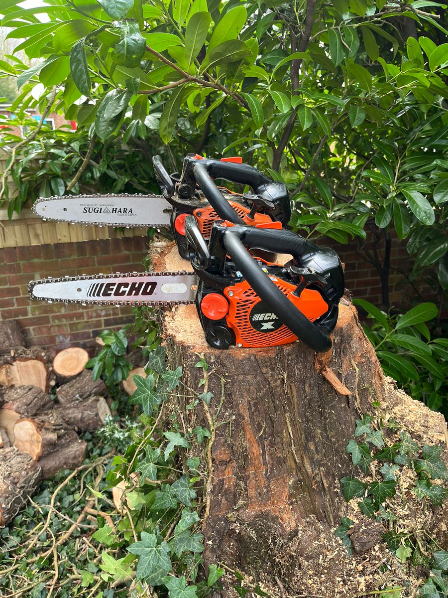 TreeProLtd's tweet image. The twins. 

Just taken ownership of another #Echo top-handle chainsaw. Love the fact they are so light and still so capable.

Only down side is you need a special tool to be able to tune it and they don’t provide it when you buy one.