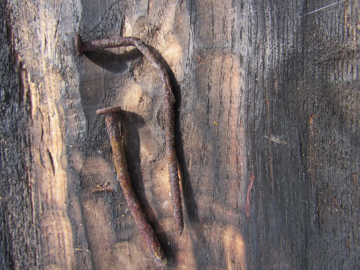 the power of the narrative- burnt wood, two nails