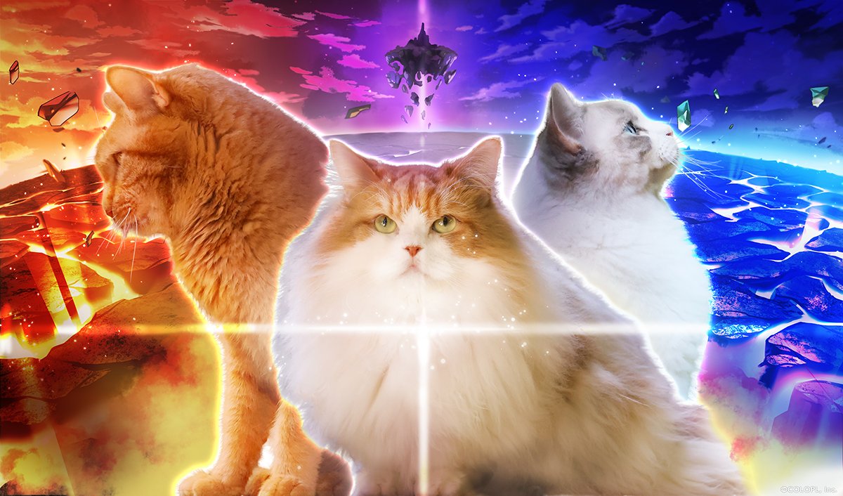 白猫実写化プロジェクト】 5枚の『ティザービジュアル』を大公開٩(๑