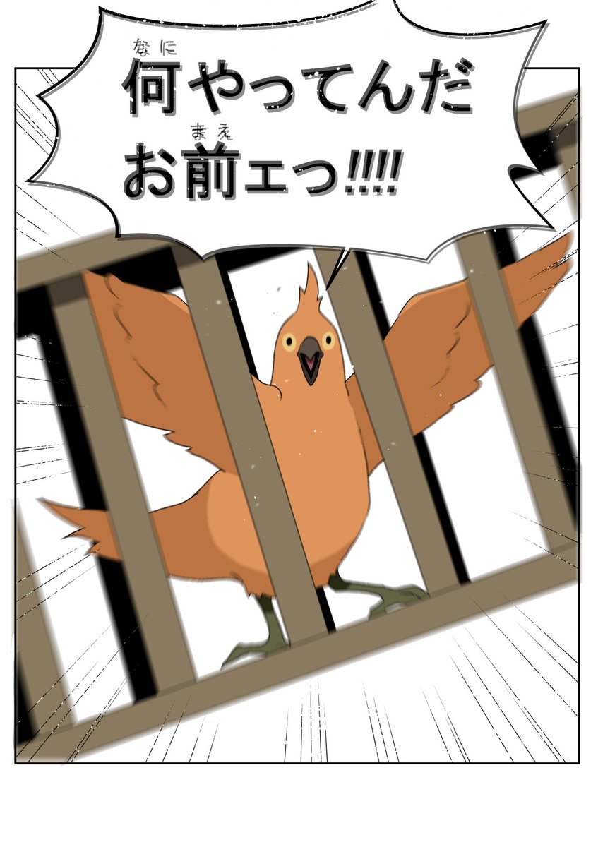 隕鉄鳥、投げられてキレる🐥 