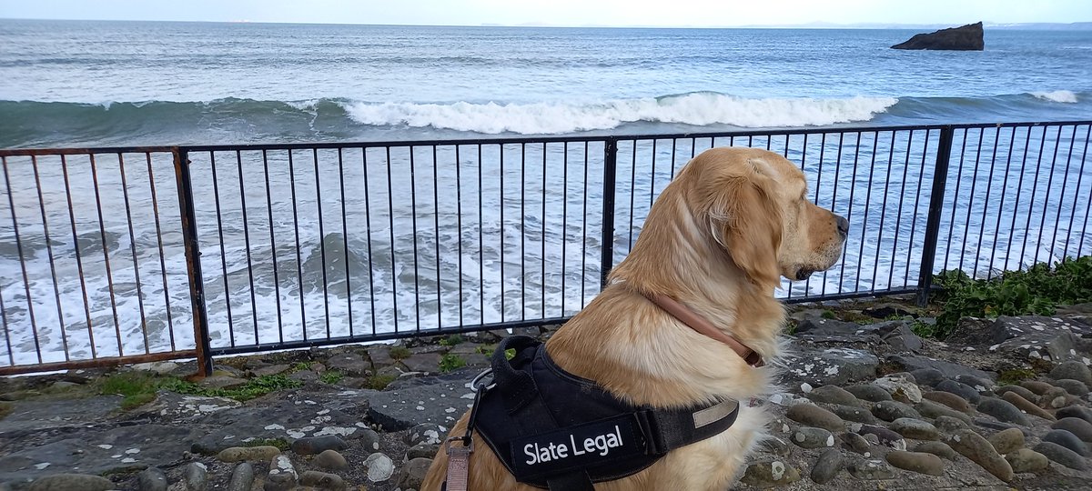 Slate Legal tweet media