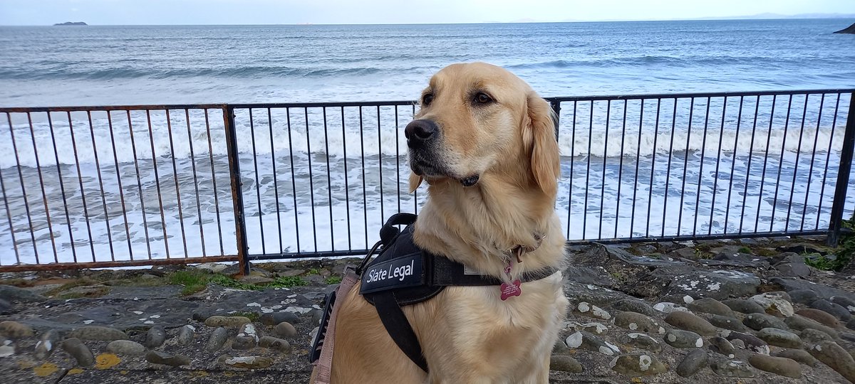 Slate Legal tweet media