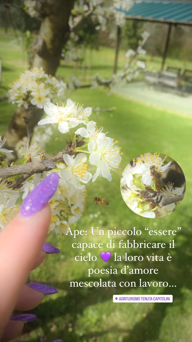 TCapitolini's tweet photo. https://t.co/Apwys9QGjk https://t.co/ybWakjZJ34