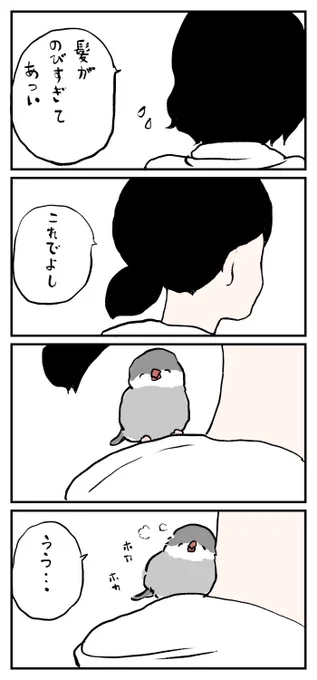 文鳥さんは寄り添う 