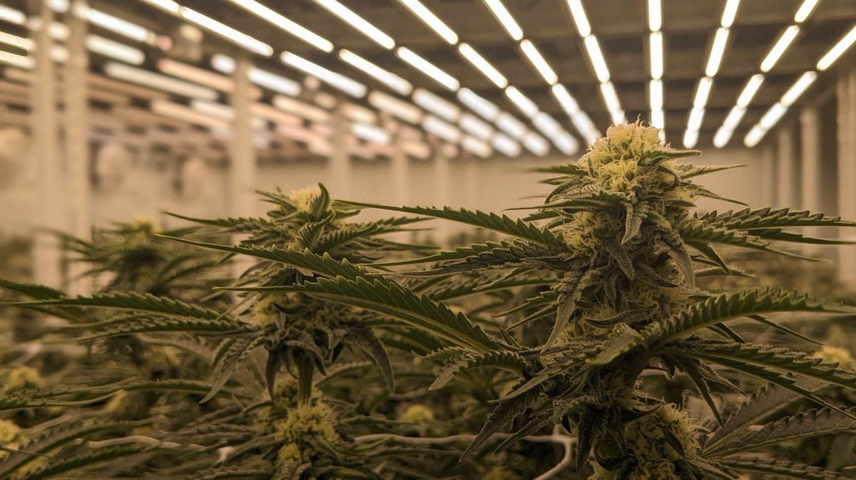 Got plans for the weekend? These two were asking if they could tag along.